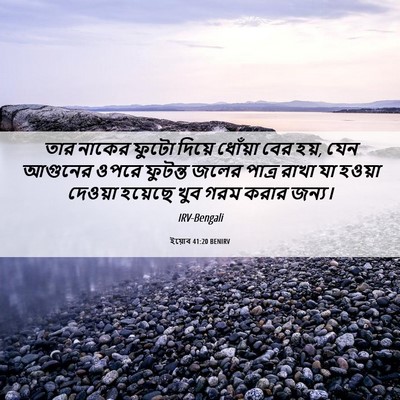 Picture 06 - ইয়োব 41:20 BENIRV - তার নাকের ফুটো - Bible Verse Picture
