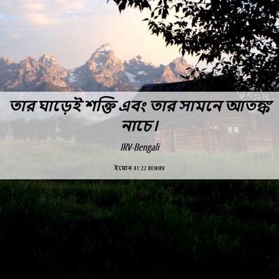 Picture 06 - ইয়োব 41:22 BENIRV - তার ঘাড়েই শক্তি - Bible Verse Picture