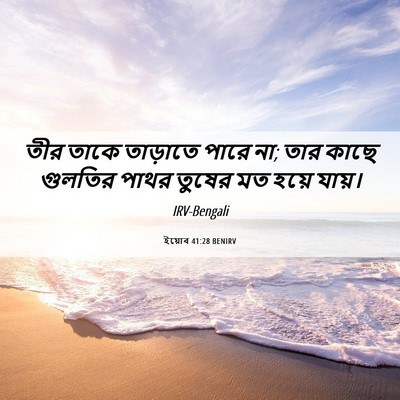 Picture 06 - ইয়োব 41:28 BENIRV - তীর তাকে তাড়াতে - Bible Verse Picture