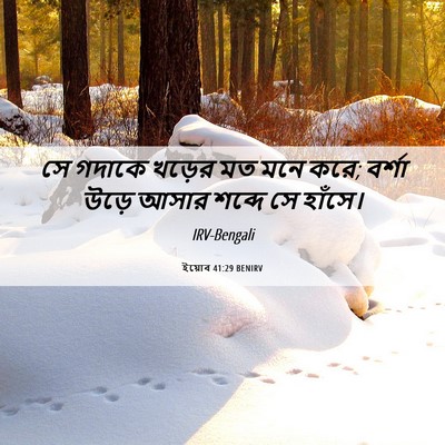 Picture 06 - ইয়োব 41:29 BENIRV - সে গদাকে খড়ের মত - Bible Verse Picture