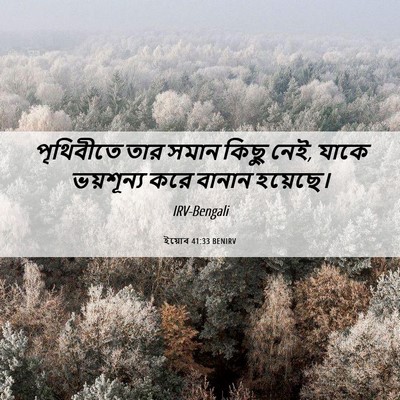 Picture 06 - ইয়োব 41:33 BENIRV - পৃথিবীতে তার সমান - Bible Verse Picture