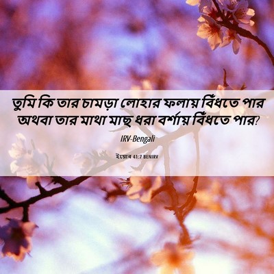 Picture 06 - ইয়োব 41:7 BENIRV - তুমি কি তার চামড়া - Bible Verse Picture