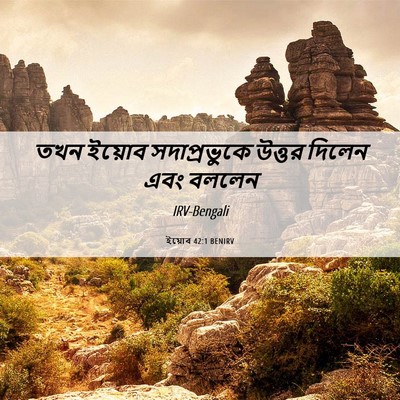 Picture 06 - ইয়োব 42:1 BENIRV - তখন ইয়োব - Bible Verse Picture