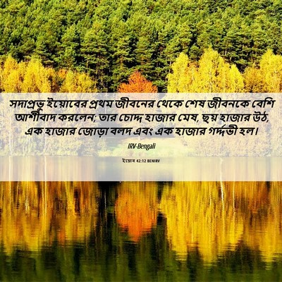 Picture 06 - ইয়োব 42:12 BENIRV - সদাপ্রভু ইয়োবের - Bible Verse Picture
