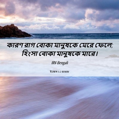 Picture 06 - ইয়োব 5:2 BENIRV - কারণ রাগ বোকা - Bible Verse Picture