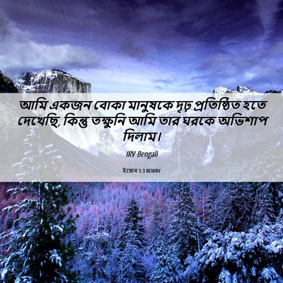 Picture 06 - ইয়োব 5:3 BENIRV - আমি একজন বোকা - Bible Verse Picture