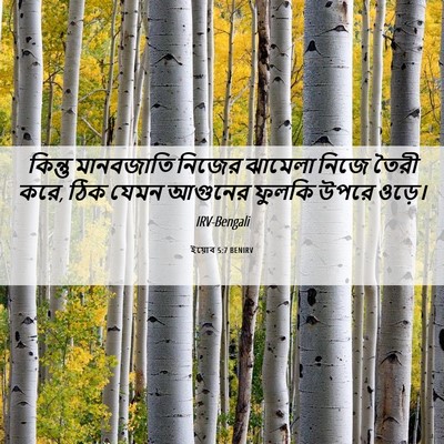 Picture 06 - ইয়োব 5:7 BENIRV - কিন্তু মানবজাতি - Bible Verse Picture