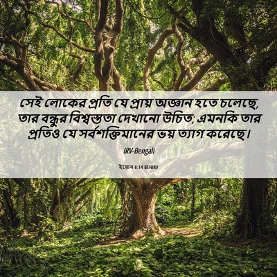 Picture 06 - ইয়োব 6:14 BENIRV - সেই লোকের প্রতি যে - Bible Verse Picture