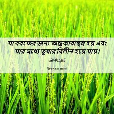 Picture 06 - ইয়োব 6:16 BENIRV - যা বরফের জন্য - Bible Verse Picture