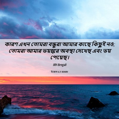 Picture 06 - ইয়োব 6:21 BENIRV - কারণ এখন তোমরা - Bible Verse Picture