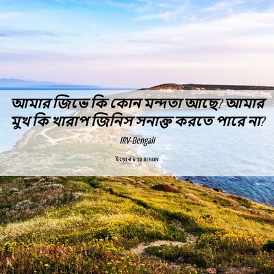 Picture 06 - ইয়োব 6:30 BENIRV - আমার জিভে কি কোন - Bible Verse Picture