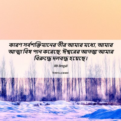 Picture 06 - ইয়োব 6:4 BENIRV - কারণ - Bible Verse Picture