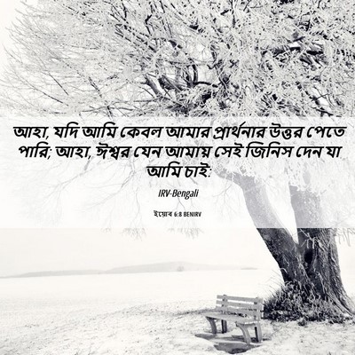 Picture 06 - ইয়োব 6:8 BENIRV - আহা, যদি আমি কেবল - Bible Verse Picture