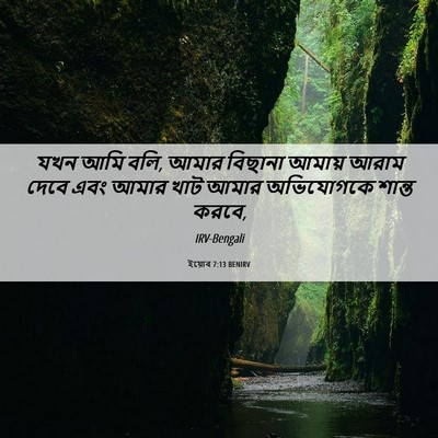 Picture 06 - ইয়োব 7:13 BENIRV - যখন আমি বলি, আমার - Bible Verse Picture