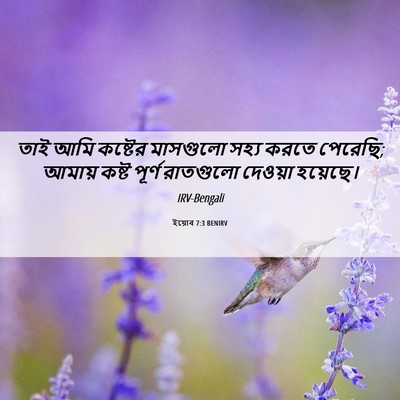 Picture 06 - ইয়োব 7:3 BENIRV - তাই আমি কষ্টের - Bible Verse Picture