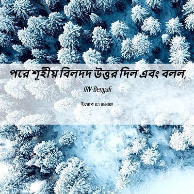 Picture 06 - ইয়োব 8:1 BENIRV - পরে শূহীয় বিলদদ - Bible Verse Picture