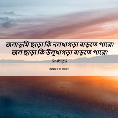 Picture 06 - ইয়োব 8:11 BENIRV - জলাভূমি ছাড়া কি - Bible Verse Picture
