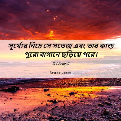 Picture 06 - ইয়োব 8:16 BENIRV - সূর্য্যের নিচে সে - Bible Verse Picture