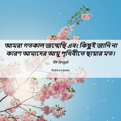 Picture 06 - ইয়োব 8:9 BENIRV - আমরা গতকাল - Bible Verse Picture