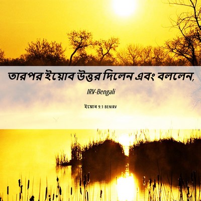 Picture 06 - ইয়োব 9:1 BENIRV - তারপর ইয়োব উত্তর - Bible Verse Picture