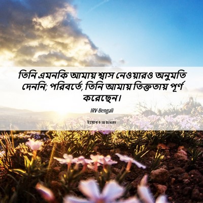Picture 06 - ইয়োব 9:18 BENIRV - তিনি এমনকি আমায় - Bible Verse Picture
