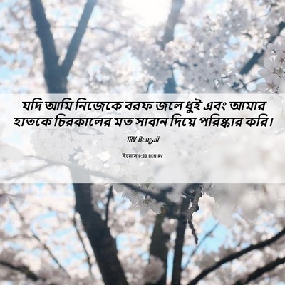 Picture 06 - ইয়োব 9:30 BENIRV - যদি আমি নিজেকে বরফ - Bible Verse Picture
