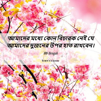 Picture 06 - ইয়োব 9:33 BENIRV - আমাদের মধ্যে কোন - Bible Verse Picture