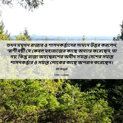 Picture 06 - ইষ্টেৰ 1:16 BENIRV - তখন মমূখন রাজার ও - Bible Verse Picture