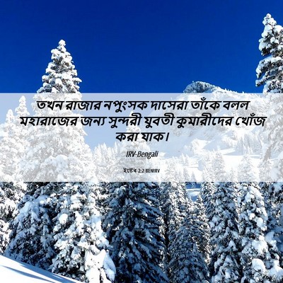Picture 06 - ইষ্টেৰ 2:2 BENIRV - তখন রাজার নপুংসক - Bible Verse Picture
