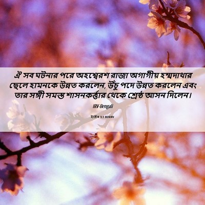 Picture 06 - ইষ্টেৰ 3:1 BENIRV - ঐ সব ঘটনার পরে - Bible Verse Picture