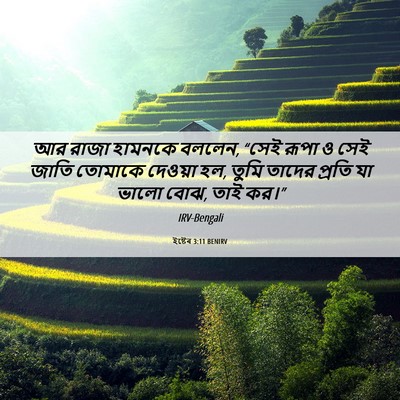 Picture 06 - ইষ্টেৰ 3:11 BENIRV - আর রাজা হামনকে - Bible Verse Picture
