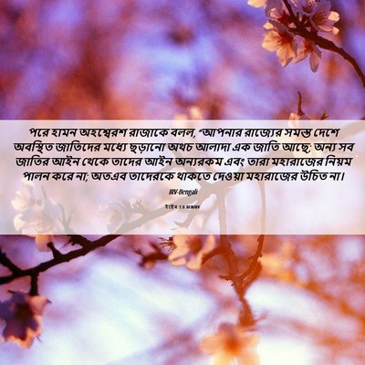 Picture 06 - ইষ্টেৰ 3:8 BENIRV - পরে হামন অহশ্বেরশ - Bible Verse Picture