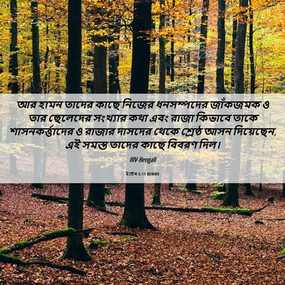 Picture 06 - ইষ্টেৰ 5:11 BENIRV - আর হামন তাদের কাছে - Bible Verse Picture