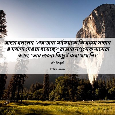 Picture 06 - ইষ্টেৰ 6:3 BENIRV - রাজা বললেন, “এর - Bible Verse Picture