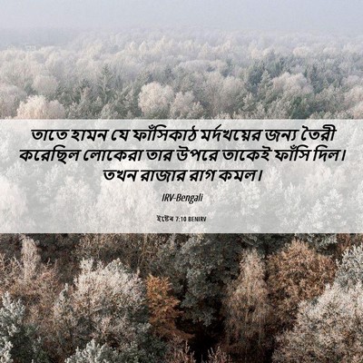 Picture 06 - ইষ্টেৰ 7:10 BENIRV - তাতে হামন যে - Bible Verse Picture