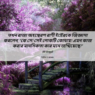 Picture 06 - ইষ্টেৰ 7:5 BENIRV - তখন রাজা অহশ্বেরশ - Bible Verse Picture