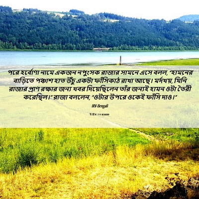 Picture 06 - ইষ্টেৰ 7:9 BENIRV - পরে হর্বোণা নামে - Bible Verse Picture