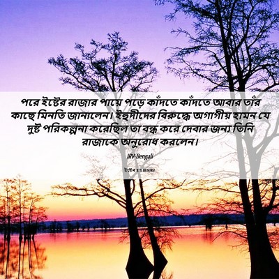 Picture 06 - ইষ্টেৰ 8:3 BENIRV - পরে ইষ্টের রাজার - Bible Verse Picture