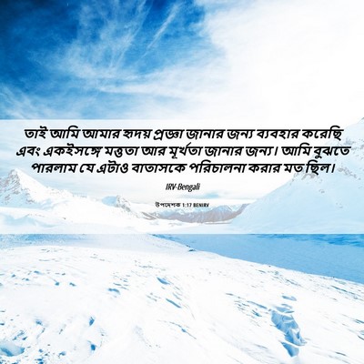 Picture 06 - উপদেশক 1:17 BENIRV - তাই আমি আমার হৃদয় - Bible Verse Picture