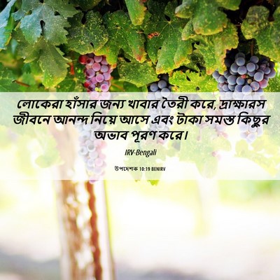 Picture 06 - উপদেশক 10:19 BENIRV - লোকেরা হাঁসার - Bible Verse Picture