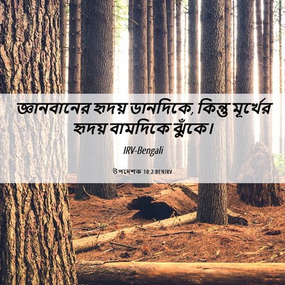Picture 06 - উপদেশক 10:2 BENIRV - জ্ঞানবানের হৃদয় - Bible Verse Picture