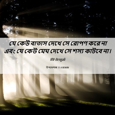 Picture 06 - উপদেশক 11:4 BENIRV - যে কেউ বাতাস দেখে - Bible Verse Picture