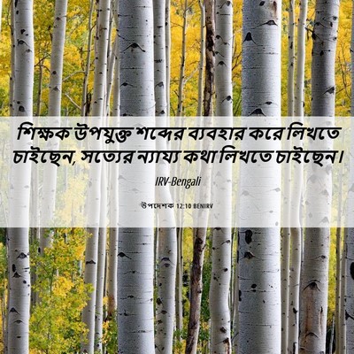 Picture 06 - উপদেশক 12:10 BENIRV - শিক্ষক উপযুক্ত - Bible Verse Picture