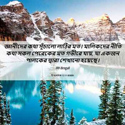 Picture 06 - উপদেশক 12:11 BENIRV - জ্ঞানীদের কথা - Bible Verse Picture