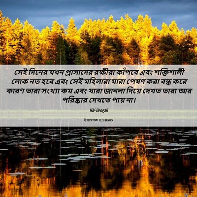 Picture 06 - উপদেশক 12:3 BENIRV - সেই দিনের যখন - Bible Verse Picture