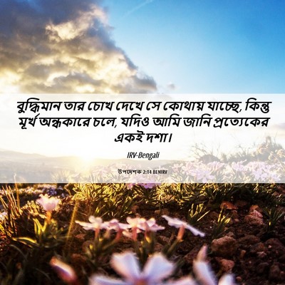 Picture 06 - উপদেশক 2:14 BENIRV - বুদ্ধিমান তার চোখ - Bible Verse Picture