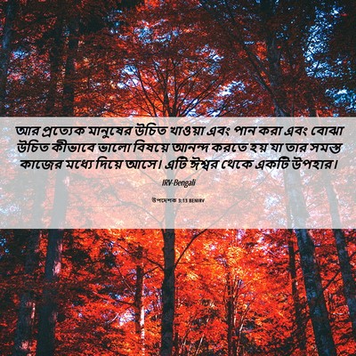 Picture 06 - উপদেশক 3:13 BENIRV - আর প্রত্যেক - Bible Verse Picture