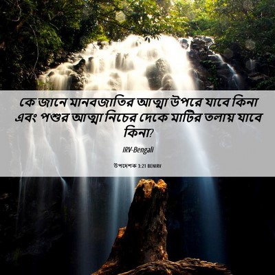 Picture 06 - উপদেশক 3:21 BENIRV - কে জানে মানবজাতির - Bible Verse Picture