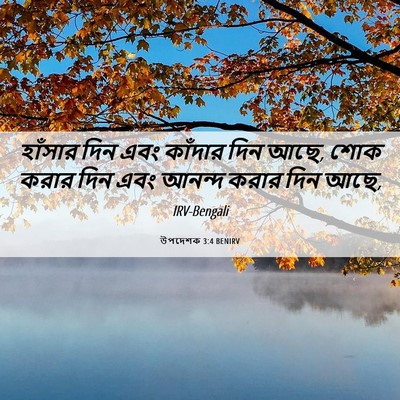 Picture 06 - উপদেশক 3:4 BENIRV - হাঁসার দিন এবং - Bible Verse Picture