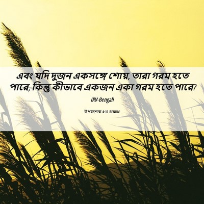Picture 06 - উপদেশক 4:11 BENIRV - এবং যদি দুজন - Bible Verse Picture